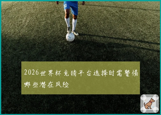 2026世界杯竞猜平台选择时需警惕哪些潜在风险