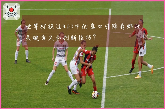 世界杯投注app中的盘口升降有哪些关键含义和判断技巧？
