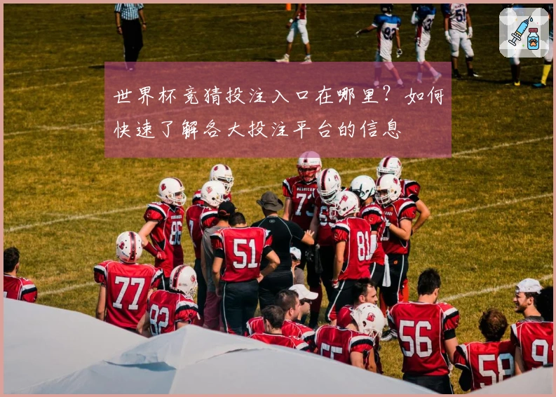 世界杯竞猜投注入口在哪里？如何快速了解各大投注平台的信息