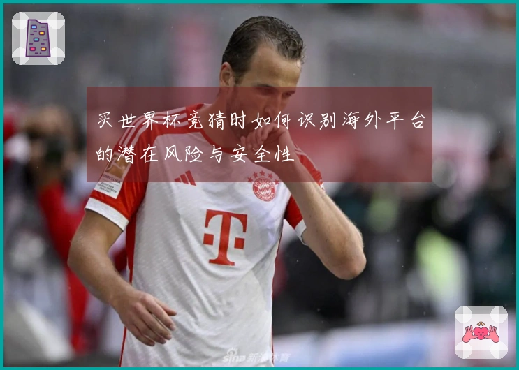买世界杯竞猜时如何识别海外平台的潜在风险与安全性