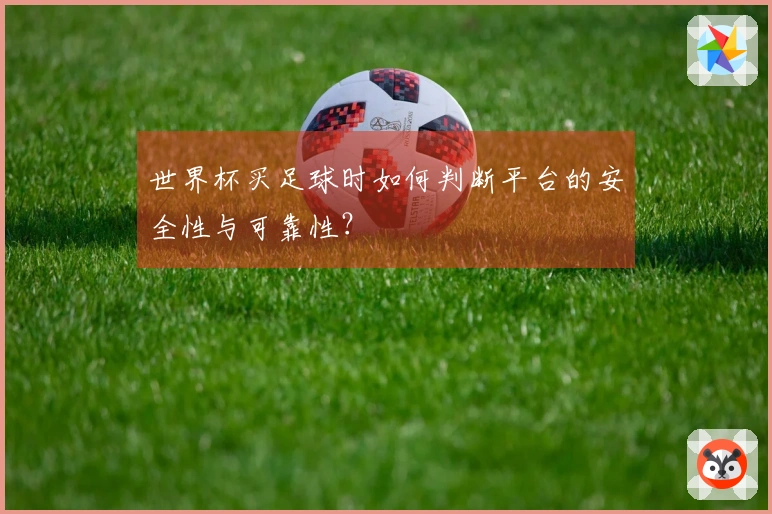 世界杯买足球时如何判断平台的安全性与可靠性？